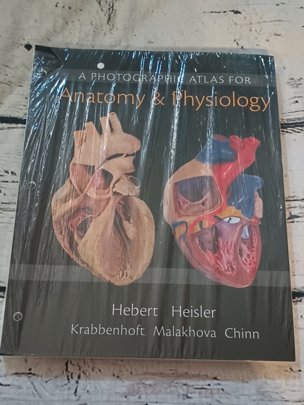 A Photographic Atlas For Anatomy and Physiology Pearson Loose Leaf Pages New